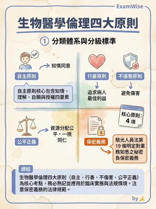 驗光師 - 業務範圍與轉介 - AI 圖文解析預覽