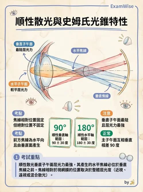 驗光師 - 散光分類與臨床判讀 - AI 圖文解析預覽
