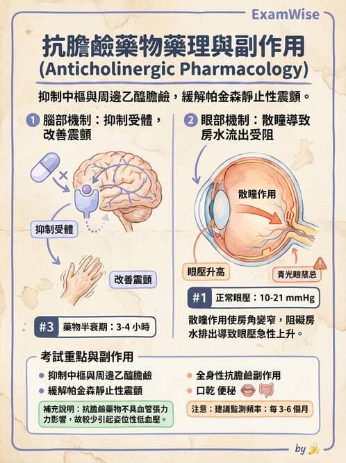 護理師 - 神經退化疾病與癲癇 - AI 圖文解析預覽