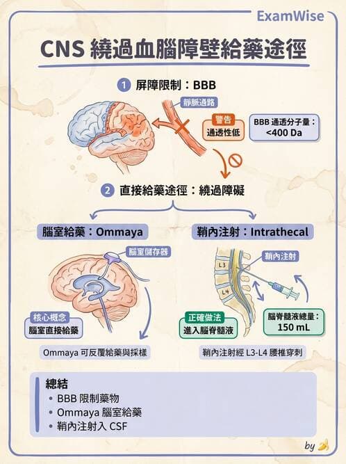 護理師 - 化療護理 - AI 圖文解析預覽