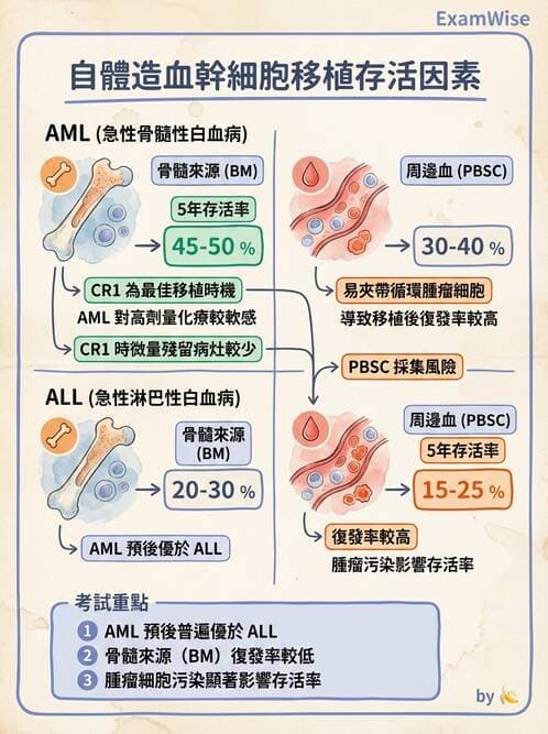 護理師 - 血液腫瘤疾病 - AI 圖文解析預覽