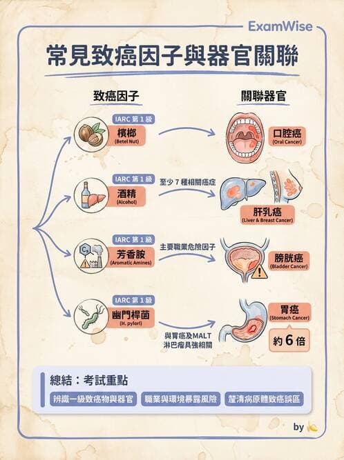 護理師 - 腫瘤概論與診斷 - AI 圖文解析預覽