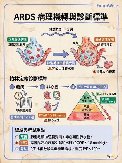 護理師 - 呼吸衰竭與胸腔護理 - AI 圖文解析預覽