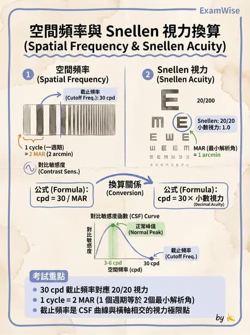驗光師 - 對比敏感度與色覺檢查 - AI 圖文解析預覽