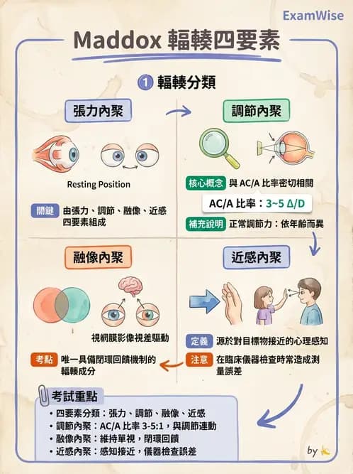 驗光師 - 調節性內聚力與聚散功能檢測 - AI 圖文解析預覽