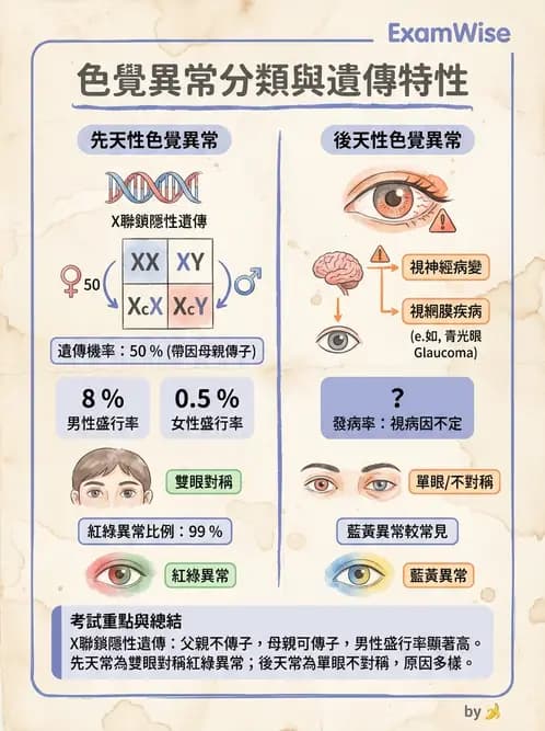 驗光師 - 對比敏感度與色覺檢查 - AI 圖文解析預覽