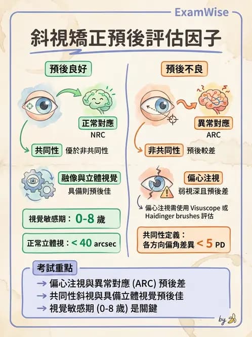 驗光師 - 弱視 - AI 圖文解析預覽