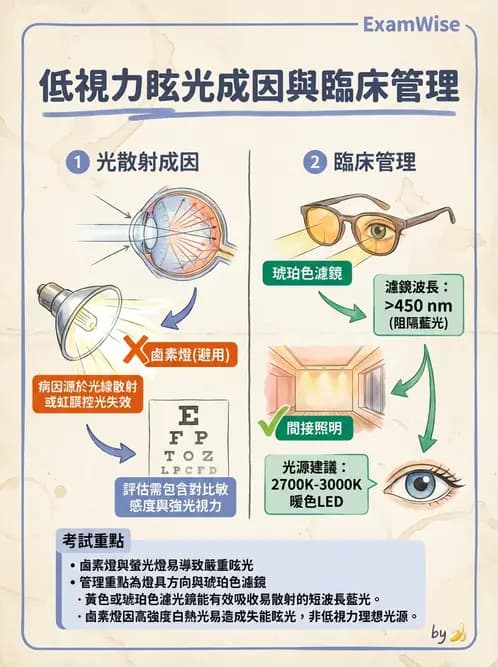 驗光師 - 低視力光學輔具處方與驗配 - AI 圖文解析預覽