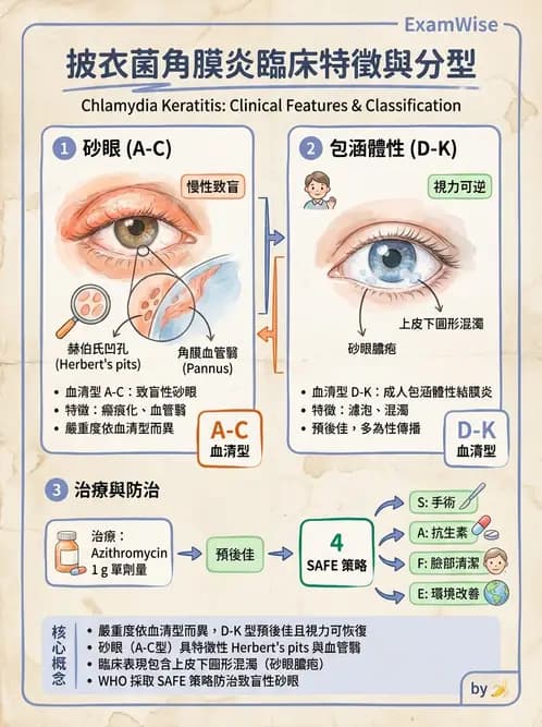 驗光師 - 感染性角結膜炎 - AI 圖文解析預覽