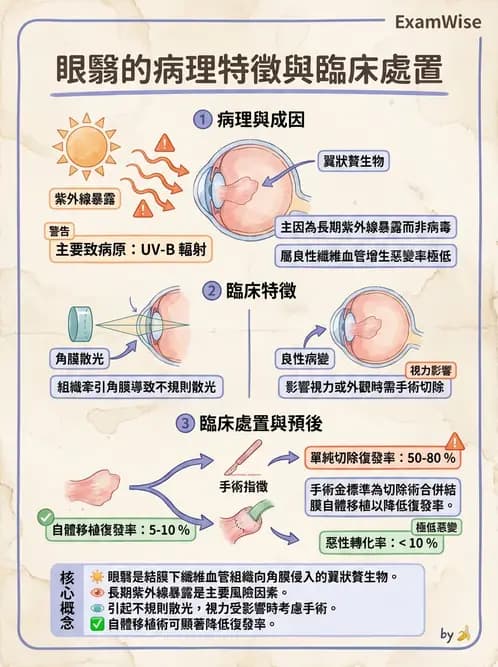 驗光師 - 角膜退化疾病與眼表問題 - AI 圖文解析預覽