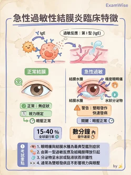 驗光師 - 感染性角結膜炎 - AI 圖文解析預覽