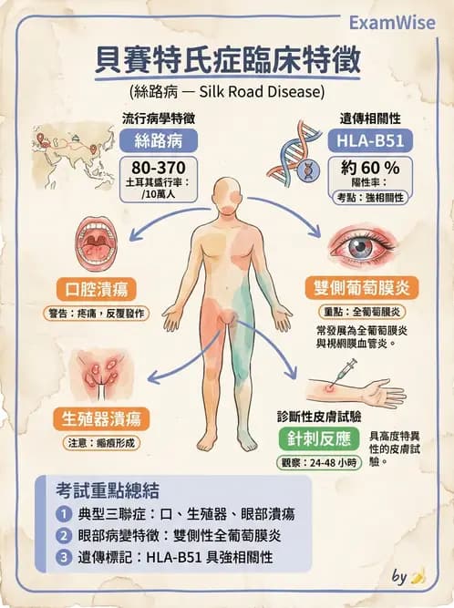 驗光師 - 葡萄膜炎與免疫相關眼病變 - AI 圖文解析預覽