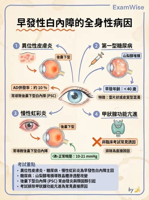 驗光師 - 血管阻塞、甲狀腺眼疾與其他全身性眼病變 - AI 圖文解析預覽