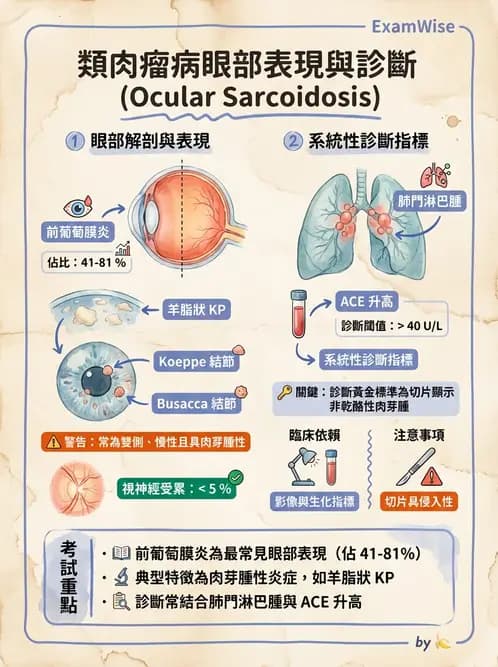 驗光師 - 葡萄膜炎與免疫相關眼病變 - AI 圖文解析預覽