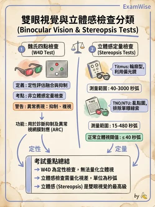驗光師 - 斜弱視與神經眼科 - AI 圖文解析預覽