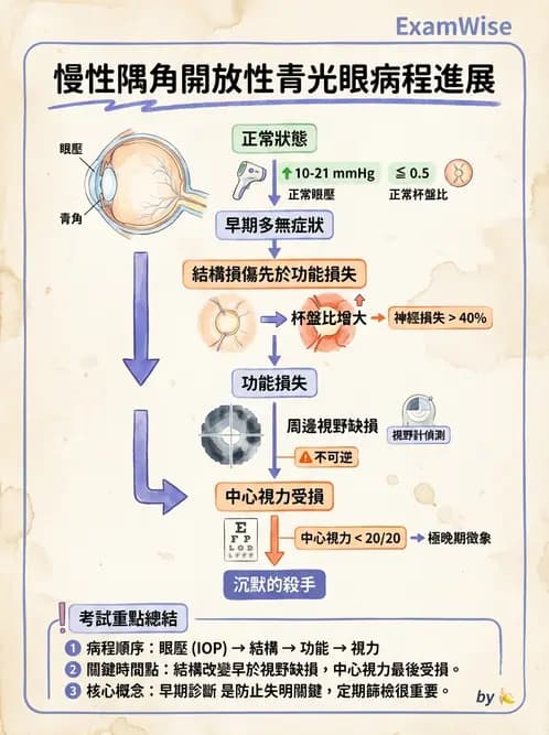 驗光師 - 青光眼分類、病因與危險因子 - AI 圖文解析預覽