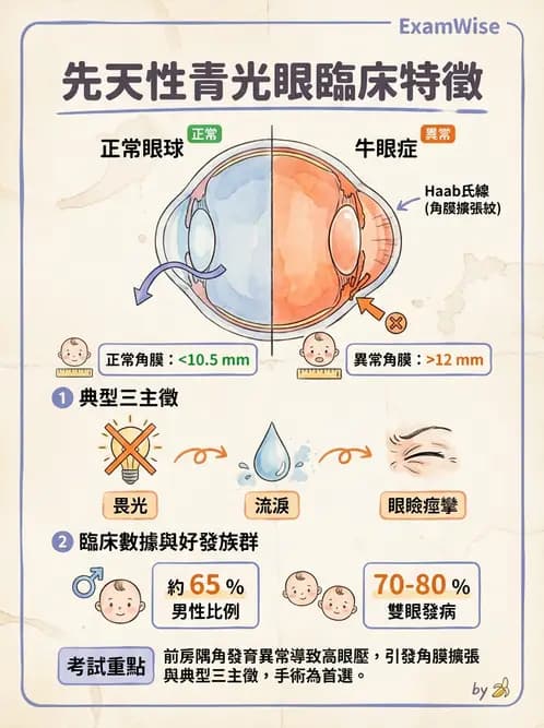 驗光師 - 青光眼分類、病因與危險因子 - AI 圖文解析預覽