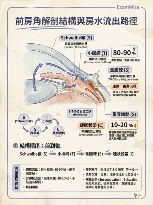 驗光師 - 眼球中層與前房 - AI 圖文解析預覽