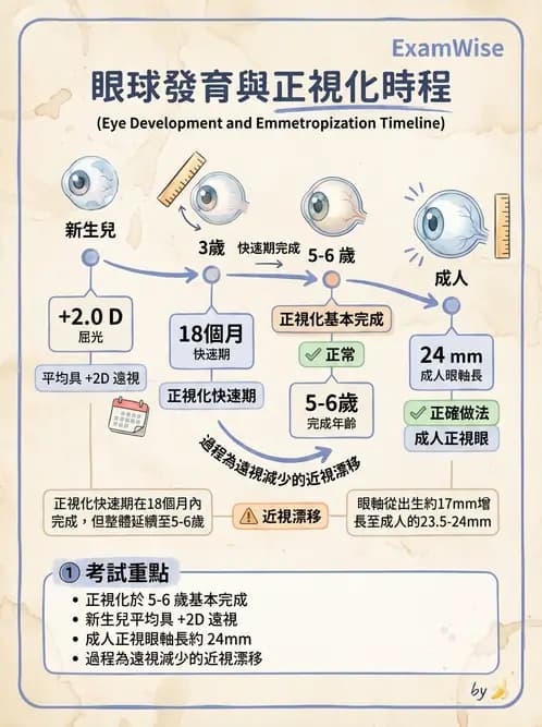 驗光師 - 屈光不正與近視遠視 - AI 圖文解析預覽