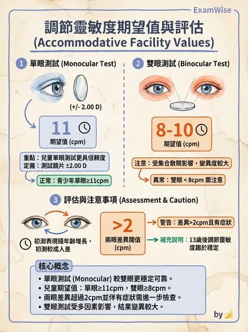 驗光師 - 調節功能與立體視融像評估 - AI 圖文解析預覽