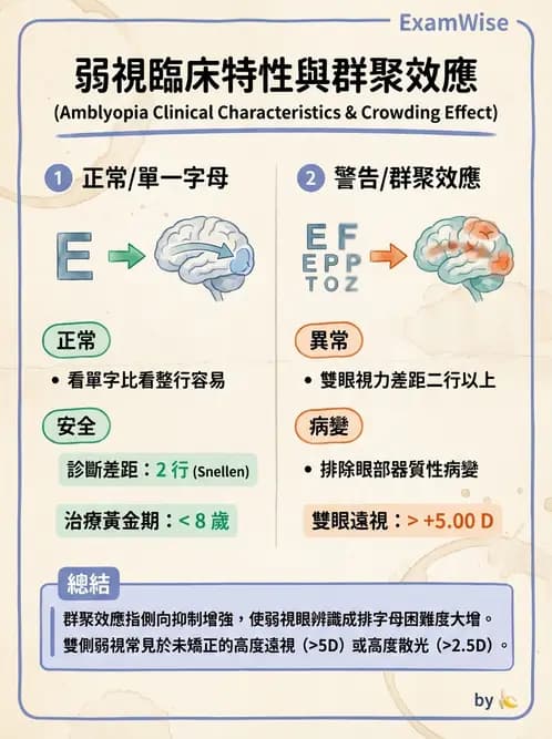 驗光師 - 弱視 - AI 圖文解析預覽