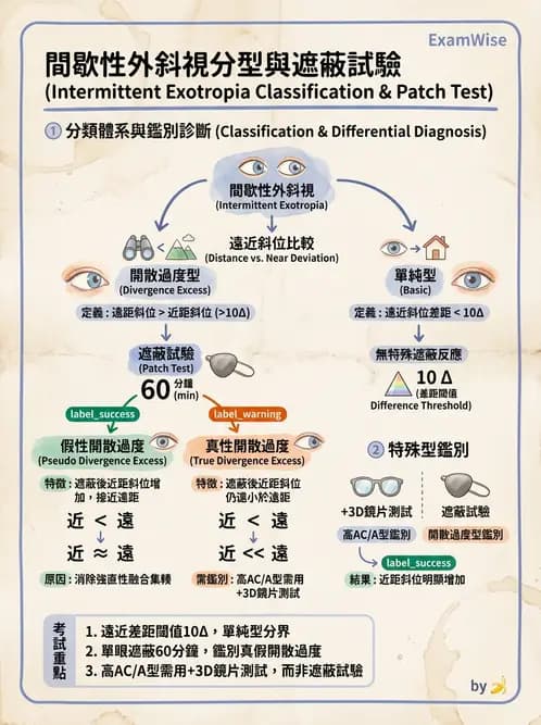 驗光師 - 水平聚散功能異常 - AI 圖文解析預覽