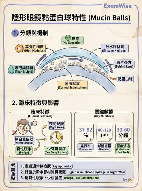 驗光師 - 結膜眼瞼反應、沉澱物與乾眼 - AI 圖文解析預覽
