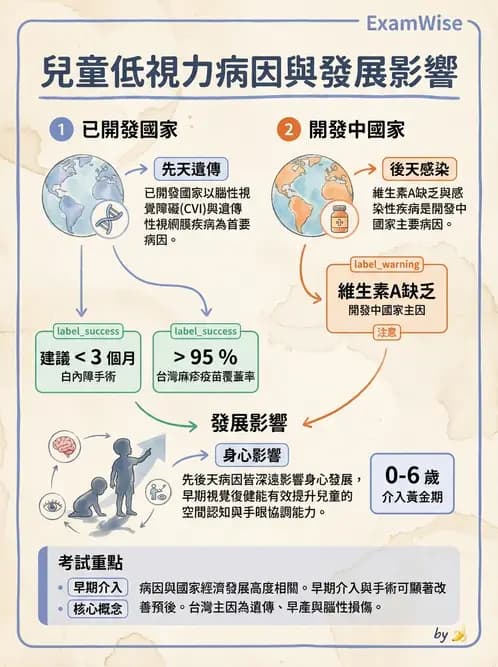 驗光師 - 視障的分類及流行分布 - AI 圖文解析預覽