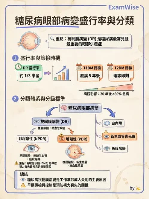 驗光師 - 糖尿病眼部病變 - AI 圖文解析預覽