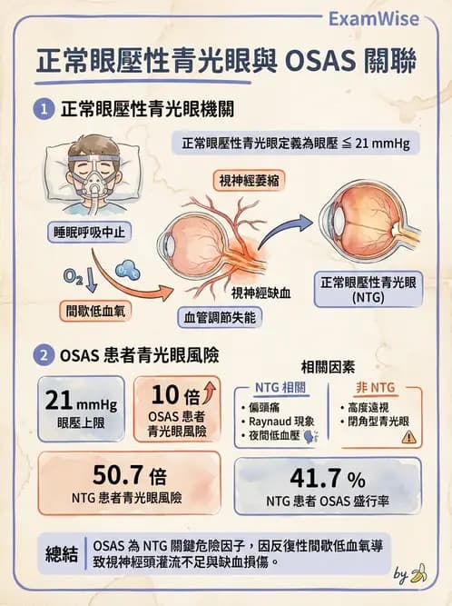 驗光師 - 青光眼分類、病因與危險因子 - AI 圖文解析預覽