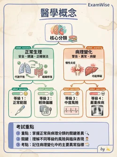 驗光師 - 業務範圍與轉介 - AI 圖文解析預覽