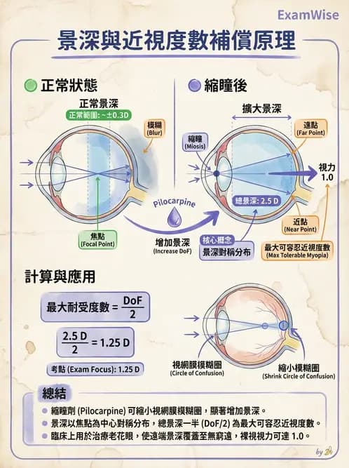 驗光師 - 景深、加入度與老花矯正 - AI 圖文解析預覽