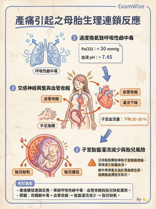 護理師 - 生產疼痛與麻醉技術 - AI 圖文解析預覽
