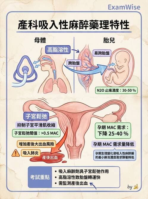 護理師 - 生產疼痛與麻醉技術 - AI 圖文解析預覽