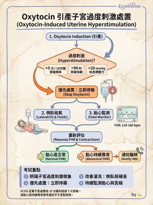 護理師 - 高危險妊娠 - AI 圖文解析預覽