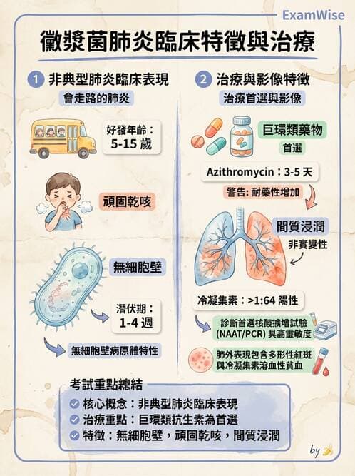 護理師 - 兒童呼吸系統疾病 - AI 圖文解析預覽