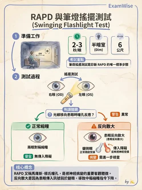 驗光師 - 眼外肌運動與眼位初步檢查 - AI 圖文解析預覽