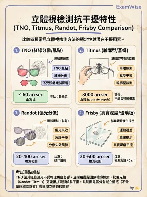 驗光師 - 調節功能與立體視融像評估 - AI 圖文解析預覽