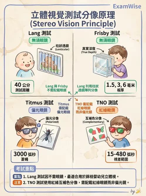 驗光師 - 調節功能與立體視融像評估 - AI 圖文解析預覽