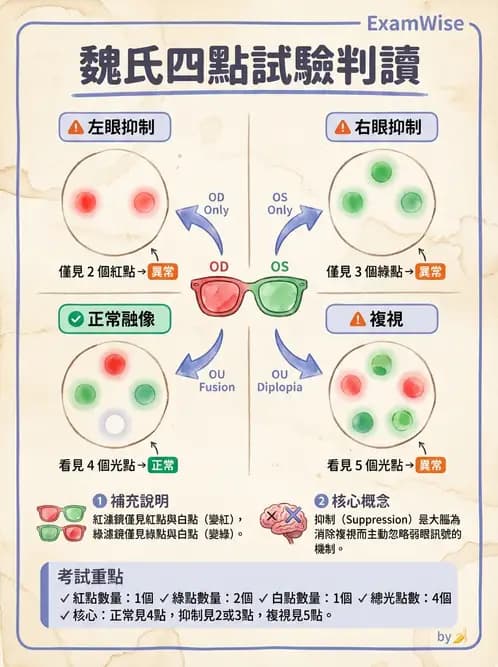 驗光師 - 調節功能與立體視融像評估 - AI 圖文解析預覽