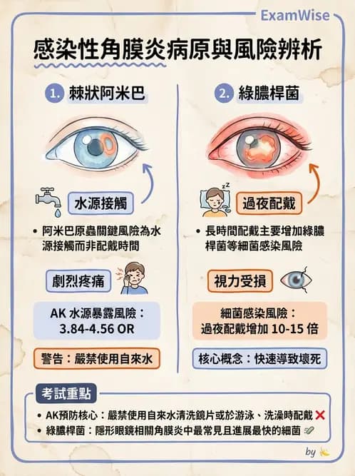 驗光師 - 感染性角膜炎與急性紅眼 - AI 圖文解析預覽