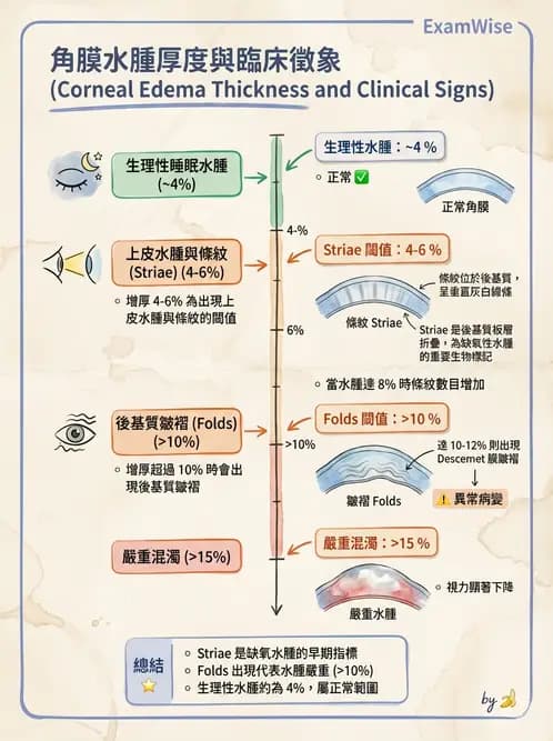 驗光師 - 角膜缺氧、水腫與變形 - AI 圖文解析預覽