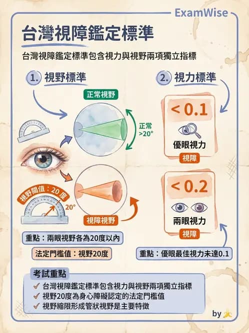 驗光師 - 視障的分類及流行分布 - AI 圖文解析預覽