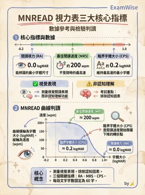 驗光師 - 視力表與視力量測 - AI 圖文解析預覽