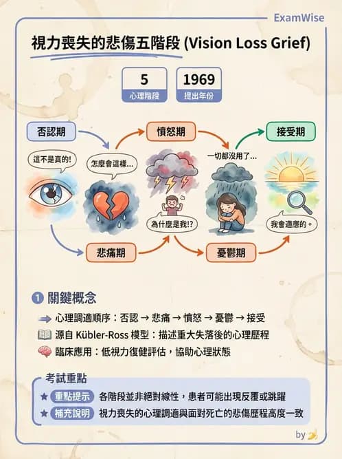 驗光師 - 低視力復健與心理適應 - AI 圖文解析預覽