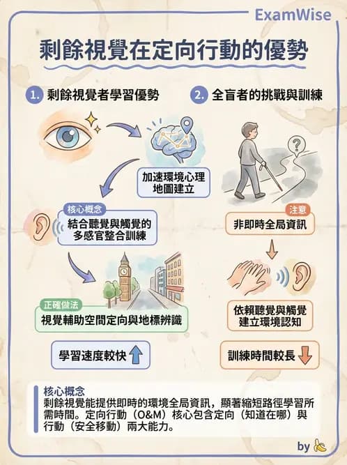 驗光師 - 定向行動與輔具社會資源 - AI 圖文解析預覽