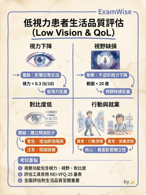 驗光師 - 低視力復健與心理適應 - AI 圖文解析預覽