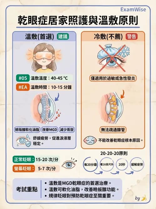 驗光師 - 角膜退化疾病與眼表問題 - AI 圖文解析預覽