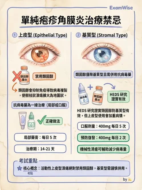 驗光師 - 感染性角結膜炎 - AI 圖文解析預覽