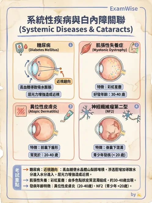 驗光師 - 血管阻塞、甲狀腺眼疾與其他全身性眼病變 - AI 圖文解析預覽
